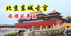 干骚逼啊啊插操骚逼啊啊视频中国北京-东城古宫旅游风景区